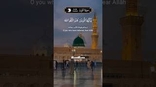 Surah Tawbah Heart Touching Recitation ♥️ #besttilawatintheworld #quranrecitation