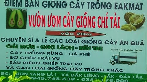 VƯỜN ƯƠM CÂY GIỐNG CHÍ TÀI 0945768639 cung cấp giống cây ăn quả việt nam, ngoại nhập tại Tây Nguyên