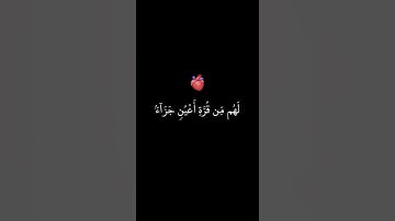 تلاوة هادئه تريح النفس 🌾 القارئ اسلام صبحي | تلاوات قرأنية شاشه سوداء