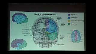 CME Series Video 2 || Approach to Acute Stroke in ER