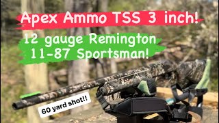 Apex TSS Smalltown Blend Ammo Using Remington 12 Gauge 11-87