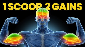 Why Nearly Everyone Should Be Taking Creatine