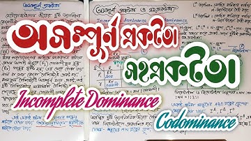 Incomplete Dominance Codominance Heredity in Bengali | অসম্পূর্ণ প্রকটতা সহ প্রকটতা সহপ্রকটতা বংশগতি