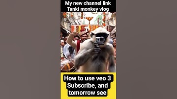 jiski shadi hone wali | Tankimonkeyvlog| monkey vlog ai #ai video #marrige |relatable #shorts #fyp