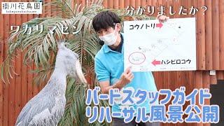 【掛川花鳥園公式】バードスタッフガイド　リハーサル風景公開！