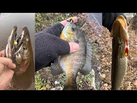 Simple & Effective Rig For Float Fishing For Steelhead / Shot