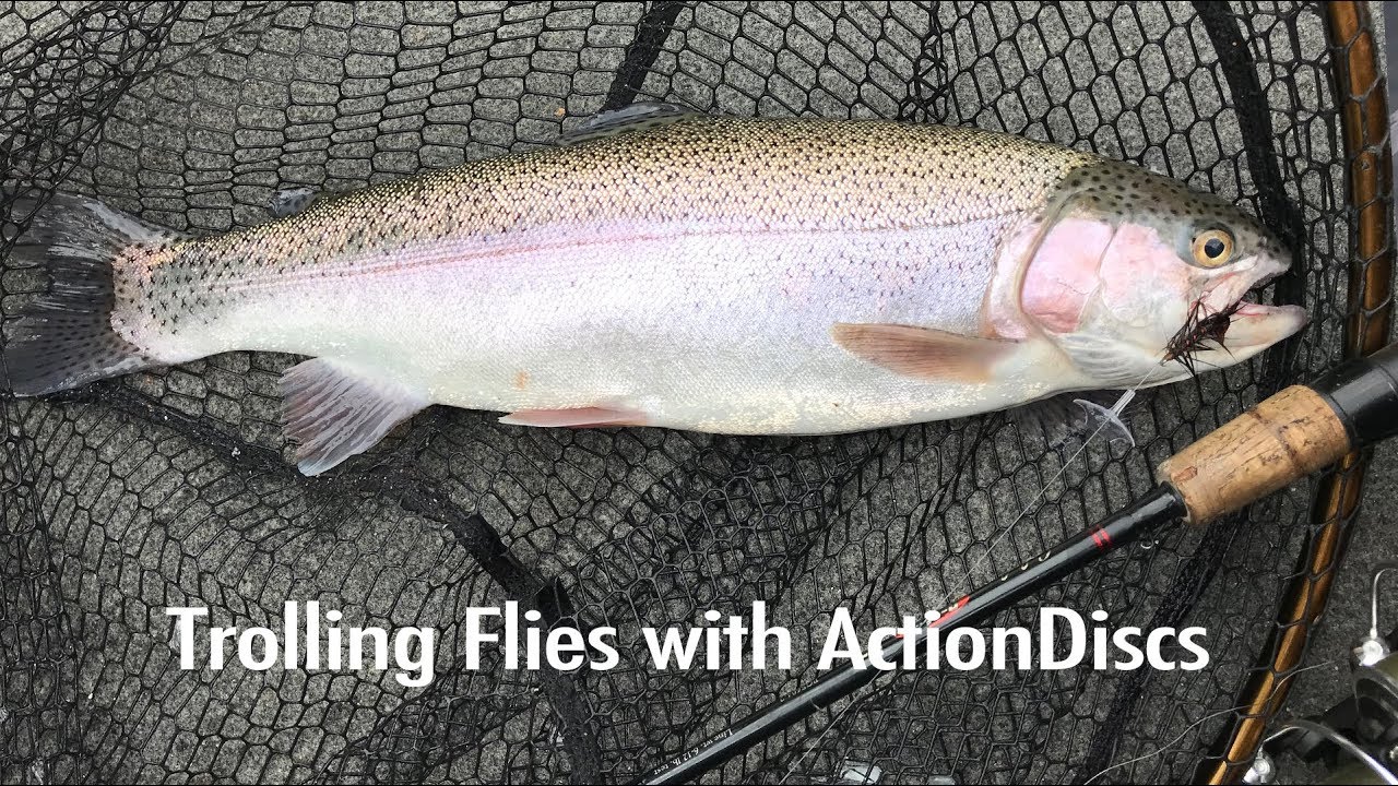 Trolling Flies for Trout with ActionDiscs YouTube