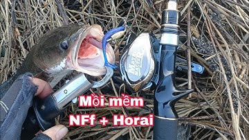 Câu Cá Lóc Bằng Mồi Mềm .NFf Horai.Máy Noeby Nonshup Max.Máy Cemeo.Máy Siller Master/ Đại Ngáo Vlog