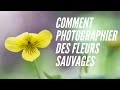Tuto macro photo trucs et conseils pour photographier des fleurs