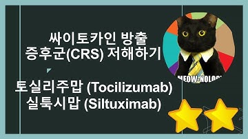 싸이토카인 방출 증후군(CRS) 저해제, 토실리주맙(Tocilizumab)과 실툭시맙(Siltuximab) 작용기전, 설명합니다!