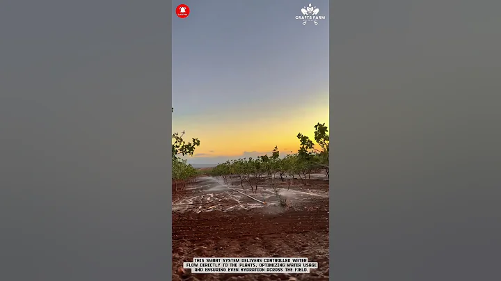 Innovative Agricultural Smart Irrigation System #smartfarming #gardeningtips