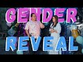 NINONG RY GENDER REVEAL | Ninong Ry