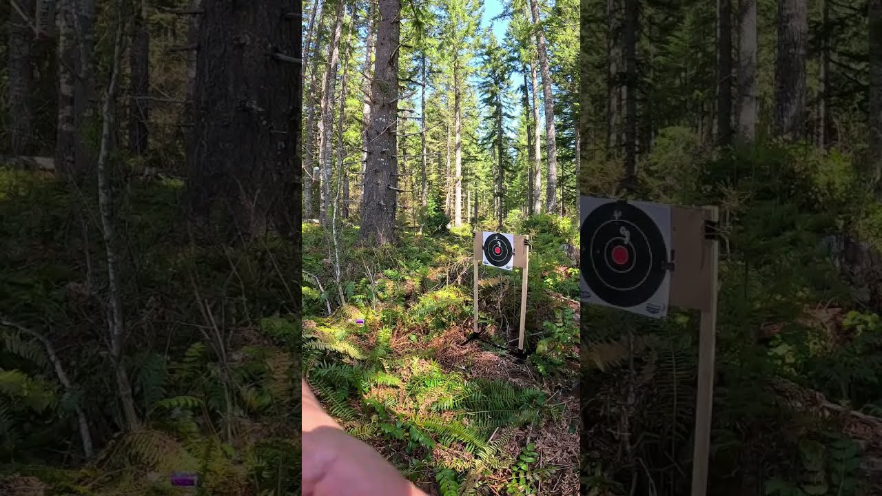 Hornady 410 Triple Defense Out Of The Smith And Wesson Governor Smithandwesson Shotgun