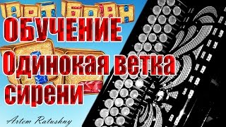 НА БАЯНЕ ОБУЧЕНИЕ Одинокая ветка сирени