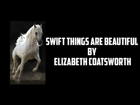 Swift Things Are