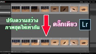 ปรับแสงภาพชุดให้มีความสว่างเท่ากันง่ายๆใน Lightroom