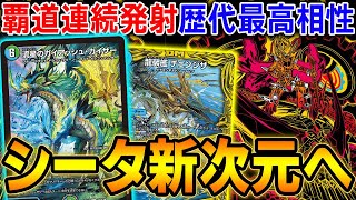 ガイアッシュ覇道パーツ　微高レート　絵違い ガイアッシュ覇道パーツ 微高レート 絵違い