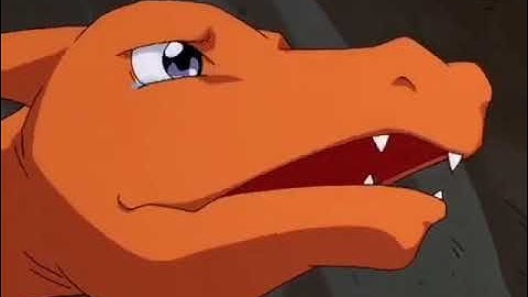 Rare occasion of ash