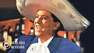 El Jinete-Miguel Aceves Mejía
