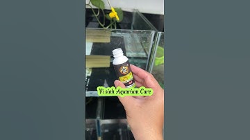 Công dụng của thuốc trị bệnh cá và vi sinh. #anhnuoica #guppy #cabaymau #ca7mau