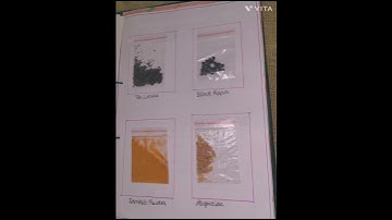 Home Science Project File #12 Class##Video