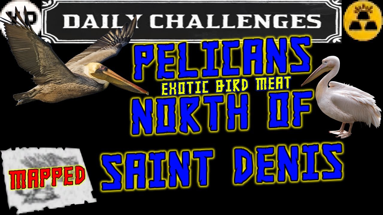 RDR2 Pelican Locations (Exotic Bird Meat) Red Dead Online - YouTube