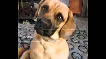 In Memory of Justin Allen