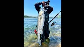 The Best Conditions To Fish The Cape Cod Canal