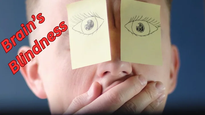 What If Answers: Why Your Brain Blinds You For 2 Hours Every Day?