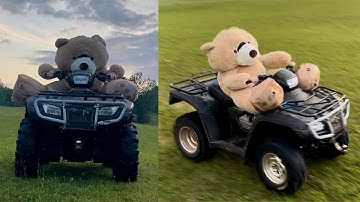 GIANT TEDDY BEAR DRIVES 4-WHEELER! (PART 7)