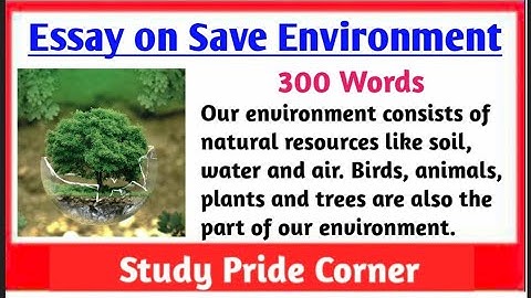 Essay on Save Environment in English | Essay on Save Environment | Save Environment Essay