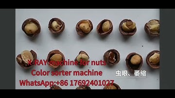 AMD X-RAY color sorter sorting nuts #machine #colorsorter #sorting
