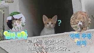 누구를 닮았어
