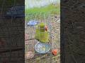 Tote ki Sundar awaaz #cute #parrot #bird #video #viral