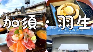 【埼玉グルメ】加須・羽生まとめ1 デカ盛り海鮮丼など３箇所巡り