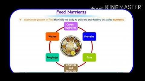 Class 4  Science Chapter 7 Part1