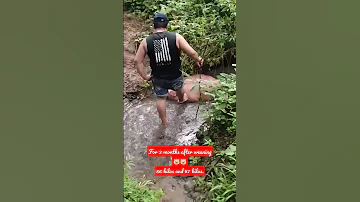 Yung Baboy Na Gustong Maligo Sa Sapa Alagangbaboy Fattening Baboy 