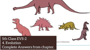 5th class EVS-2 chapter:4 Evolution Answers