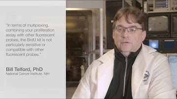 Better than BrdU, Maximum Multiplexability with Click-iT™ EdU technology