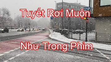 Tuyết Rơi Như Trong Phim! | Blume BRD | Vlog 367