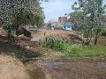 عمرو دياب قديم وخدانى معاكى