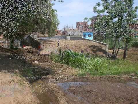 عمرو دياب قديم وخدانى معاكى