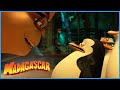 Penguins fight Dave | DreamWorks Madagascar