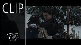 Palmeras En La Nieve Clip 6