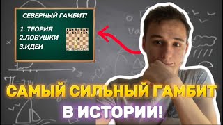 СЕВЕРНЫЙ ГАМБИТ! 5 Ловушек и Веселая игра! +100 рейтинга!