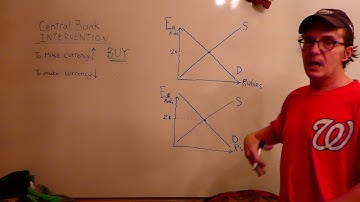 Central Bank INTERVENTION in Foreign Exchange Markets