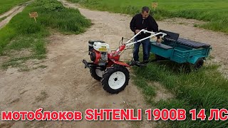 :  SHTENLI 1900B 14 .   1- 