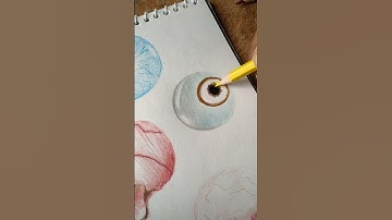 realistic eye drawing | Haleema Art #Howtodraw #youtubeshorts #eyedrawing #realisticeye #drawing