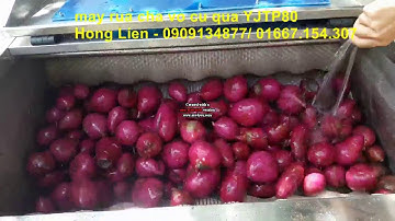 Máy chà rửa khoai tây, cà rốt, máy chà rửa củ khoai lang, khoai môn, máy rửa cạo vỏ khoai,0909134877
