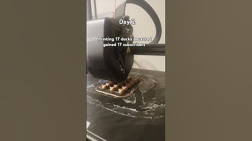 printing a duck for every new subscriber I get please subscribe and share